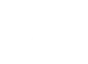 Blush SG - Banner Logo